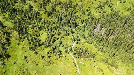 Fototapete Luftbild Wanderpfad in den Karpaten von oben  © Oleksii Nykonchuk