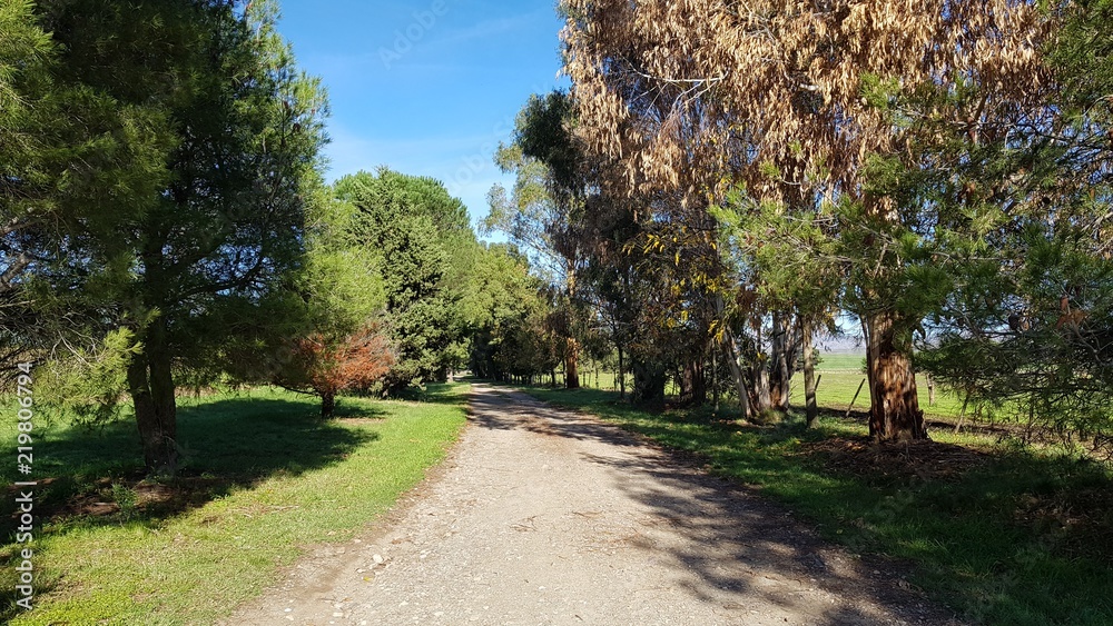 Fototapeta premium Sierra de la Ventana 01