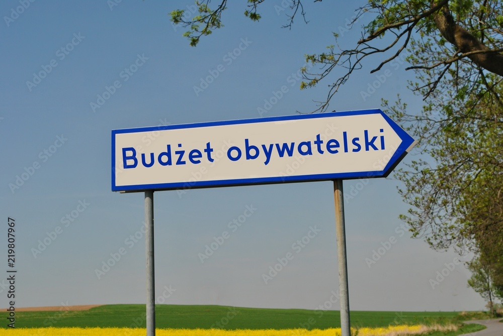 Budżet obywatelski