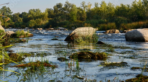 Fototapeta Naklejka Na Ścianę i Meble -   good morning on the river