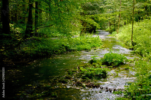 Forest River near the abyss of Macocha in Moravian Karst, Czech Republic. © Photoillustrator