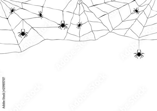 Black spider and torn web. Scary spiderweb of halloween symbol. Isolated on white