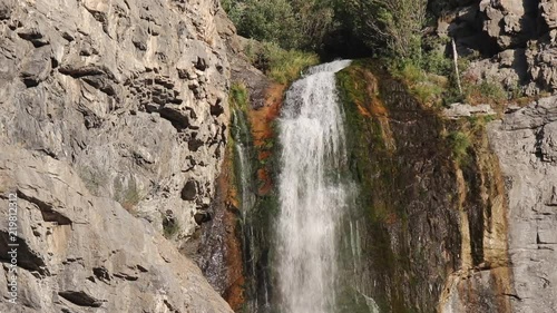 Mossy waterfall with trees