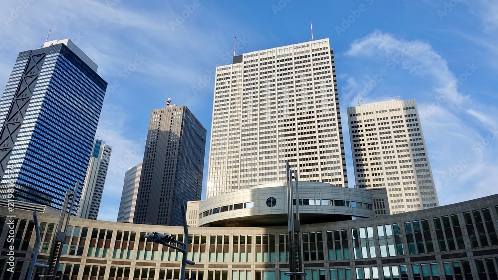 Rathaus von Tokio, Aussenansicht