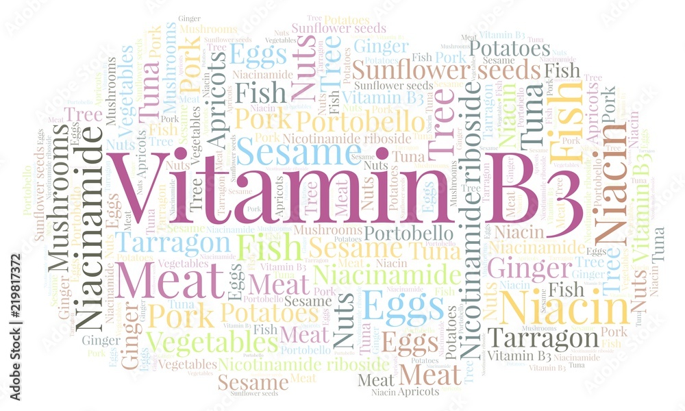 Fototapeta premium Vitamin B3 word cloud.
