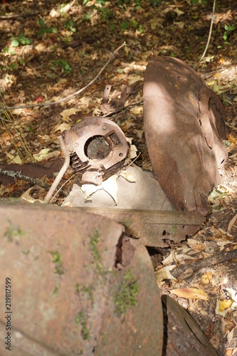 Autowrack, Rost