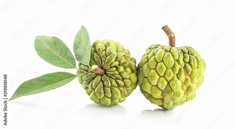 fresh custard apple isolated on a white fresh custard apple isolated on a white