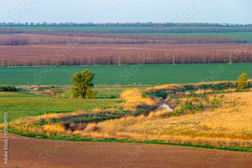 Springtime farmland fields with tree and creek. Russia, Rostov-on-Don region