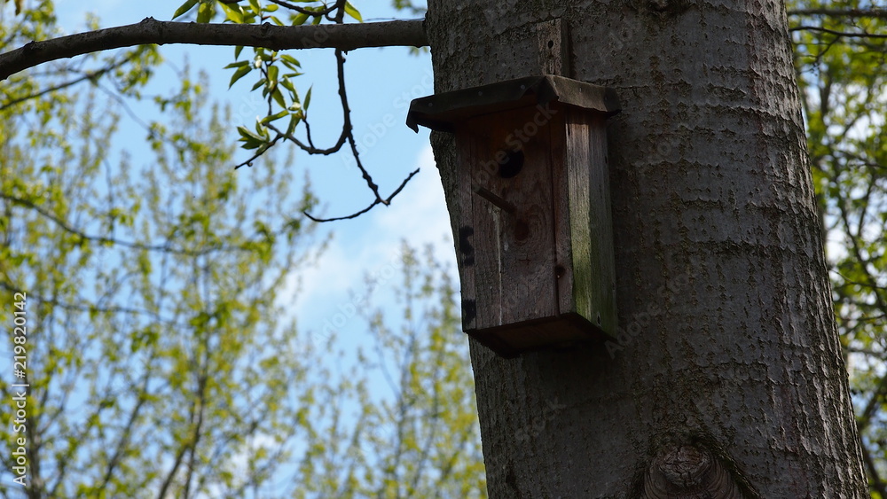 wooden bird house on a tree in forest