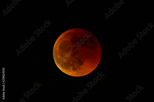 Total eclipse / blood moon photo