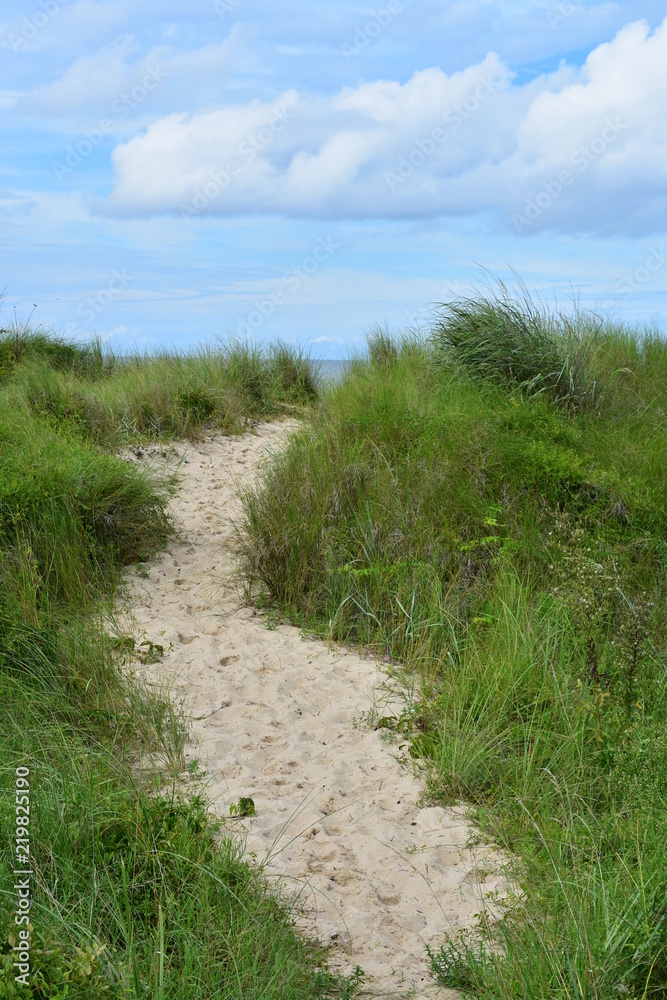 Sand footpath to the beach
