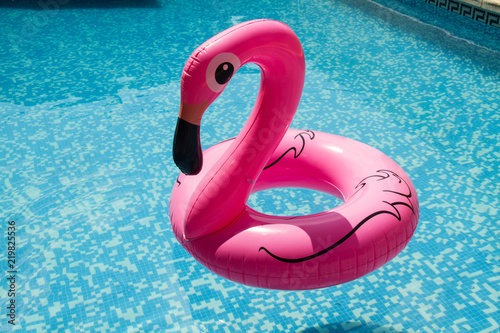 Flamingo rosa flotando en una la piscina. Vista de frente y de cerca photo