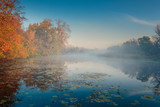 Foggy river at beautiful early autumn morning. Yellow trees on the banks and water lily on the water.