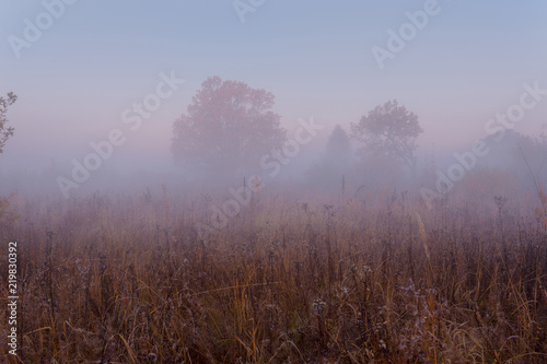 Autumn beautiful foggy morning. Fog over dry grass meadow and oaks on background.