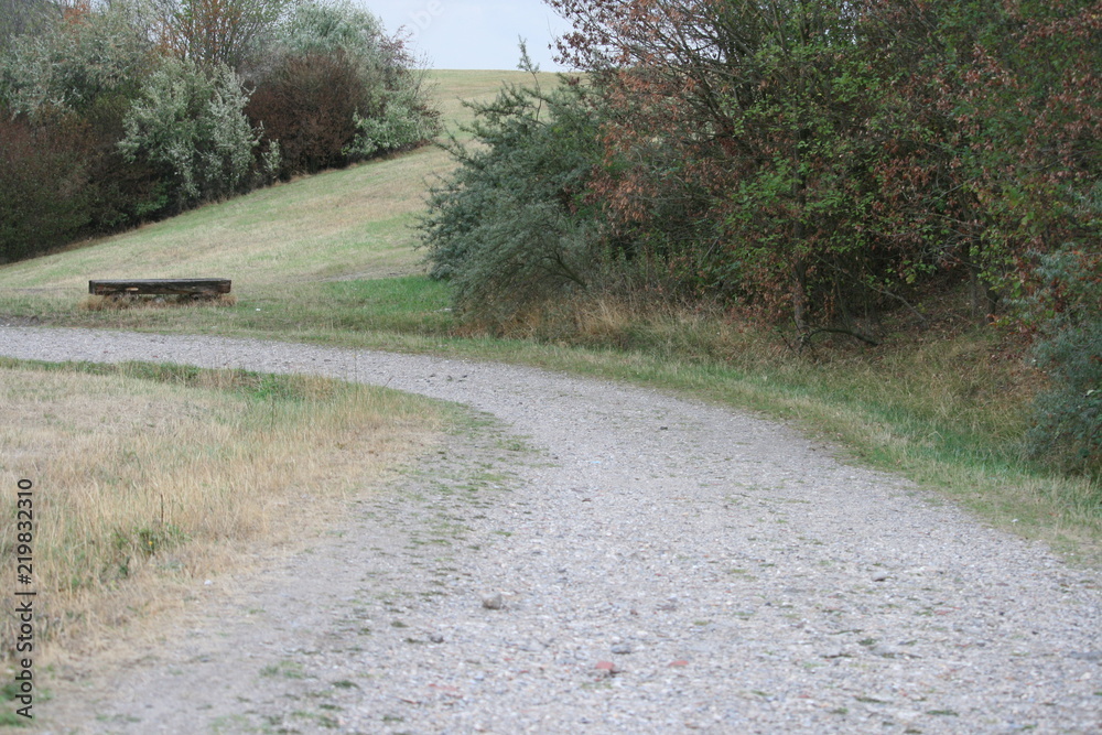 Obraz premium befestigter Wanderweg mit BAnk zum Ausruhen