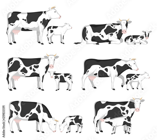 Vector cows and calves