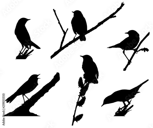 Bluethroat sitting on the branch silhouettes set