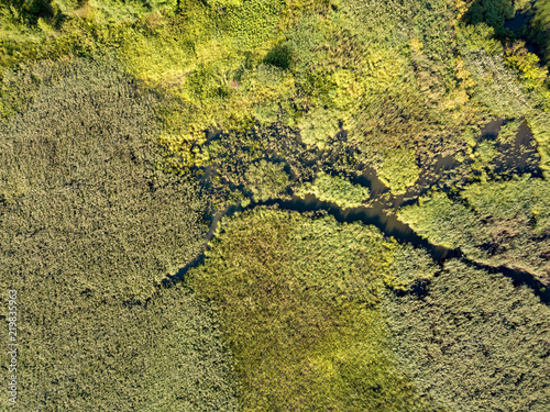 Panoramic view from the drone, aerial photography of landscape with greenery of forests, fields and source of the river. photo