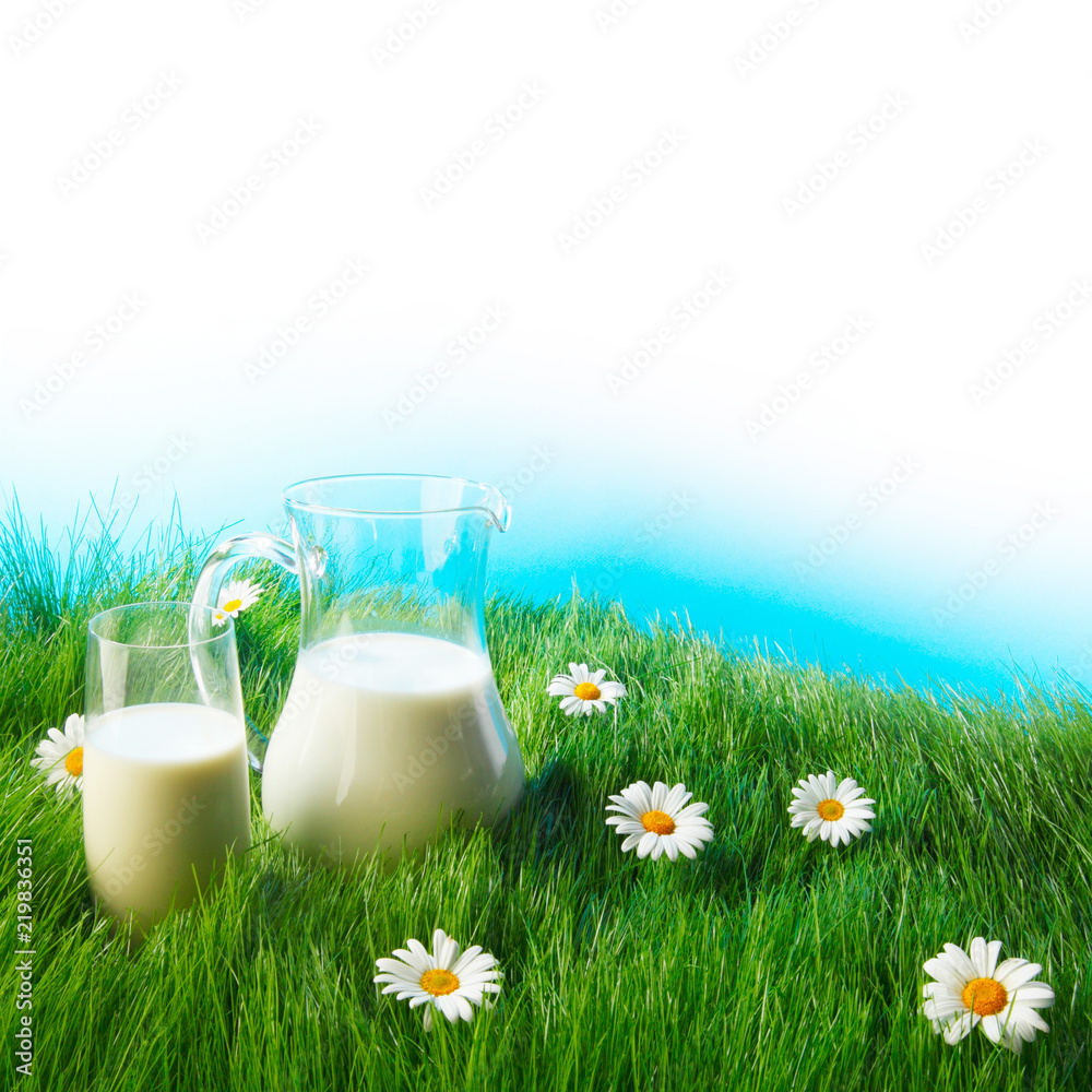 Glass of milk and jar on flower meadow Glass of milk and jar on flower meadow