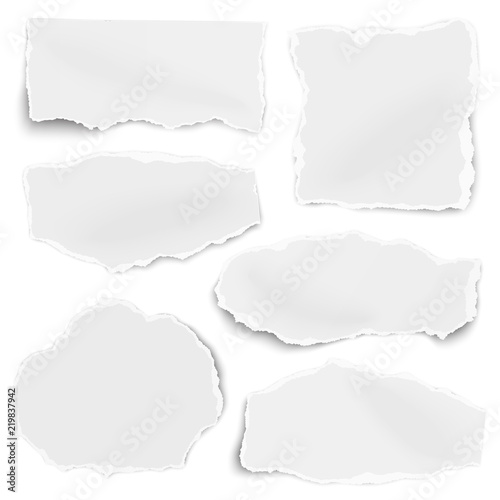 Set of paper different shapes scraps isolated on white background. Vector illustration.