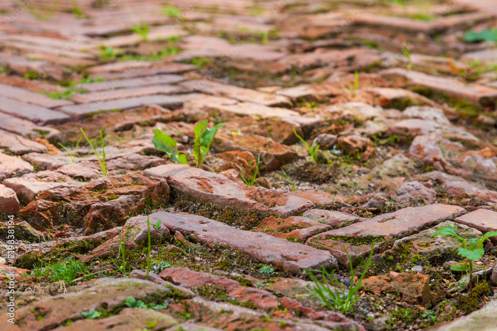 Old red brick pavement Old red brick pavement