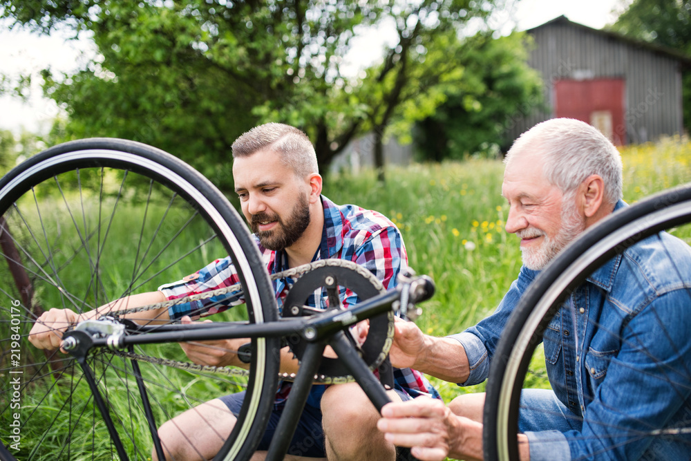 Obraz premium An adult hipster son and senior father repairing bicycle outside on a sunny day.