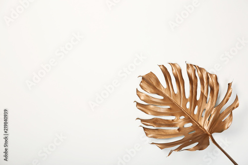 Painted tropical Monstera leaf and space for text on white background, top view