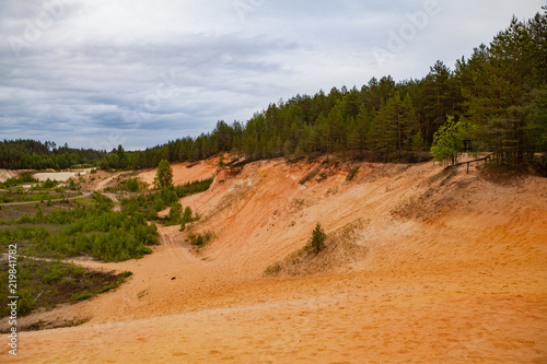 Restoration of a part of the mined glass sand quarry, planting a young pine forest. Dunes of sand quarry,