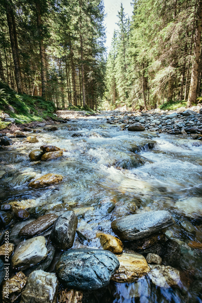 Waldlandschaft mit Gebirgsbach und Bäumen Waldlandschaft mit Gebirgsbach und Bäumen