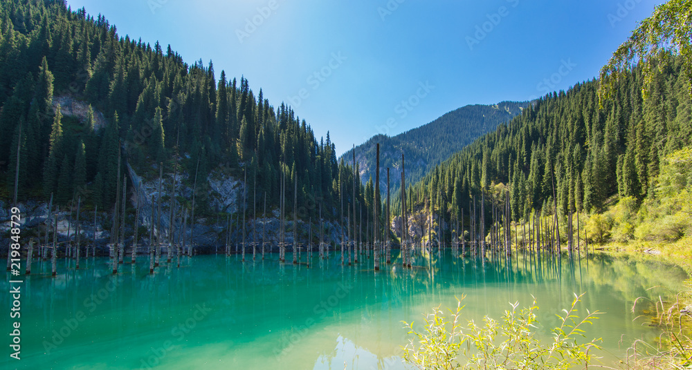 Fototapeta premium unique mountain lake of Kaindy in Kazakhstan with a sunken forest