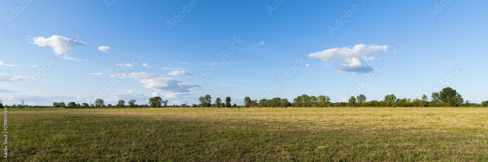 Fototapeta premium Blühende Wiesen und Felder im Spätsommer