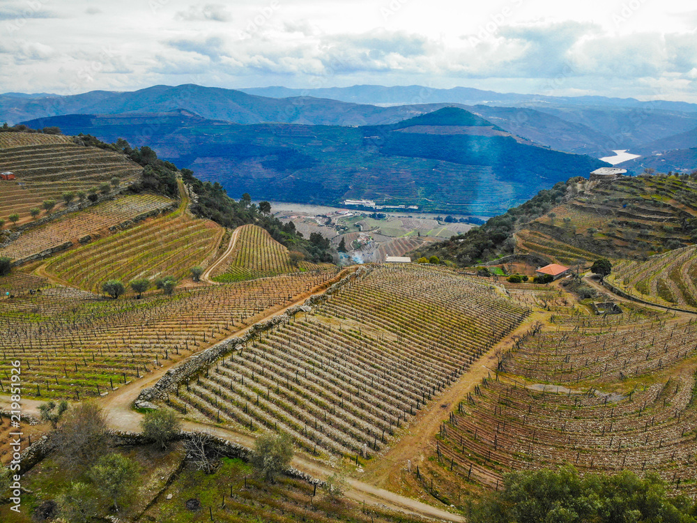 Vignes région Douro Portugal Porto coline verte montagnes nature paysage