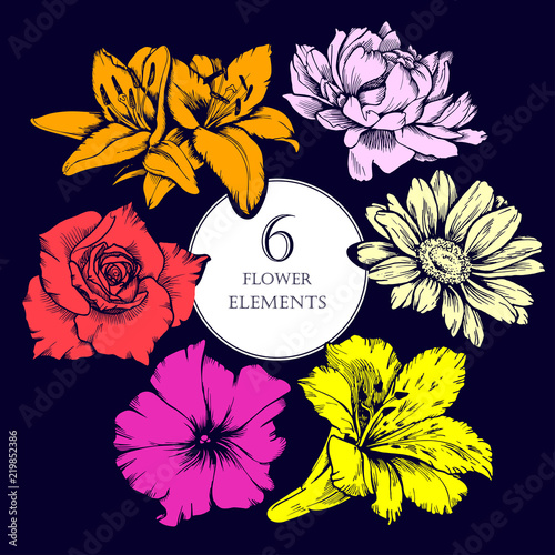 Vector flowers set. Lilly, peony, daisy, petunia, rose. photo