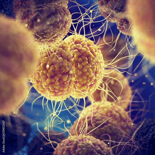 Gonorrhea is a sexually transmitted disease caused by Neisseria gonorrhoeae bacteria, STD prevention and treatment