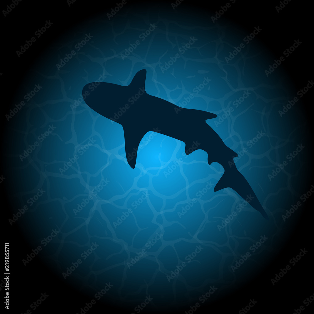 Blue water shark silhouette Blue water shark silhouette