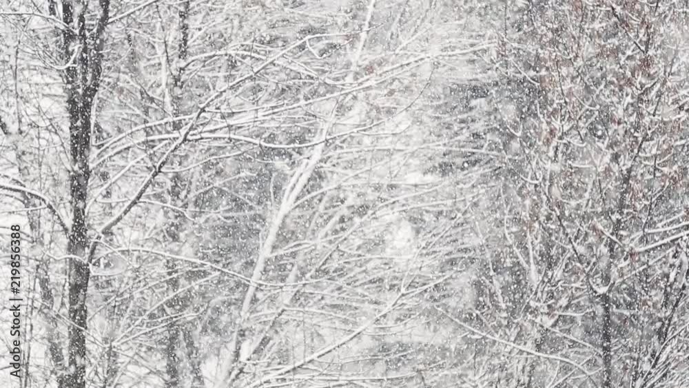 Fairy-tale winter weather. Heavy snowfall. Fairy-tale winter weather. Heavy snowfall.