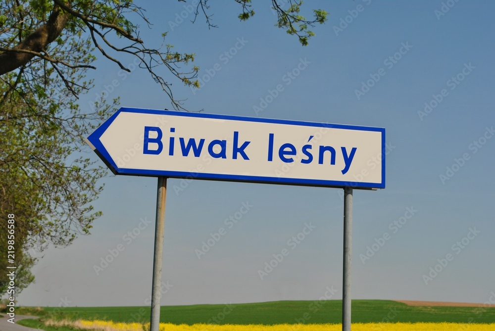 Obraz premium Biwak leśny