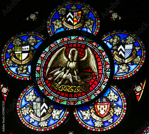 Symbolism of the Pelican - Stained Glass
