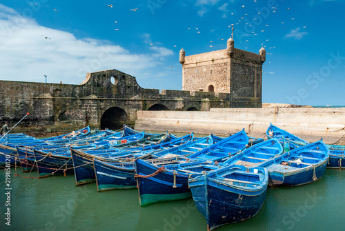 A fleet of blue fishing boats huddled together in the port of Essaouira in Morocco. You can also see the fortifications and a tower of the citadel of Mogador