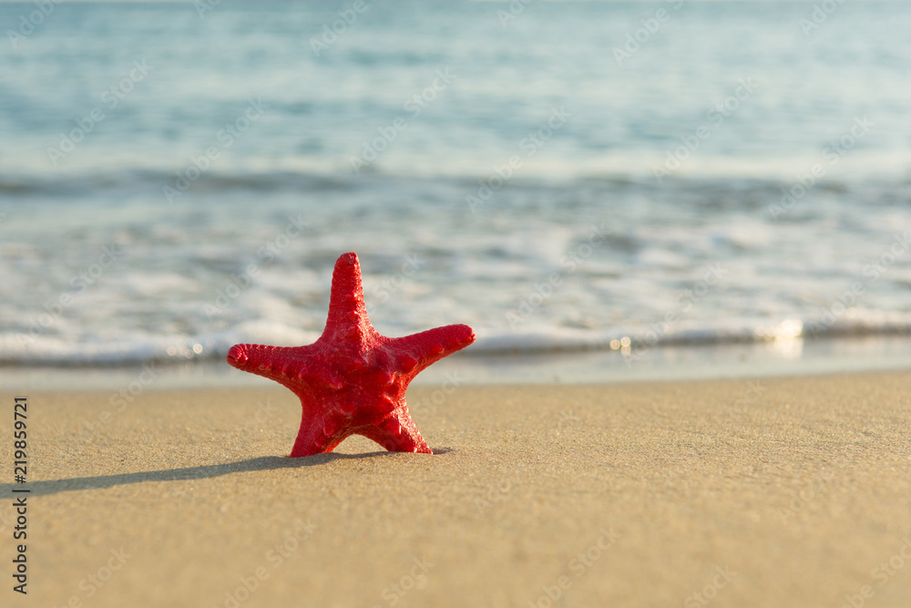 Red starfish on the beach