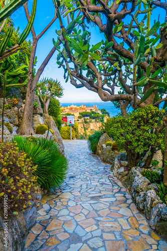 Jardin Exotique garden in Monaco photo