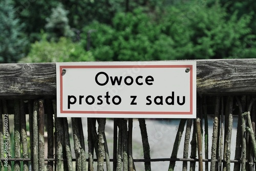 Owoce prosto z sadu