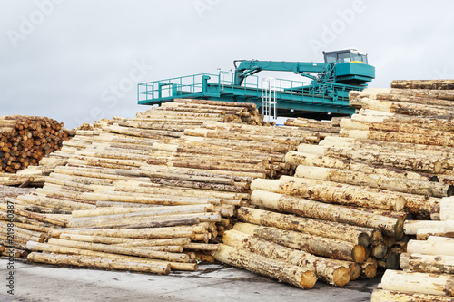 Fototapeta Sawmill wooden logs cut with bark removed stacked for sale with machinery in bac