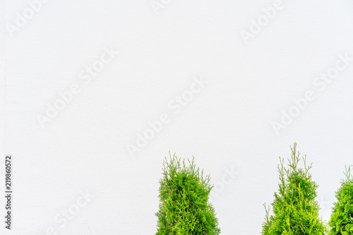 white background with several trees in the foreground © Oleg1824f