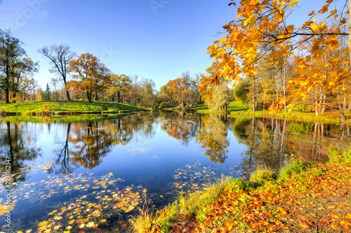 Golden fall in Alexander park, Tsarskoe Selo (Pushkin), Saint Petersburg, Russia