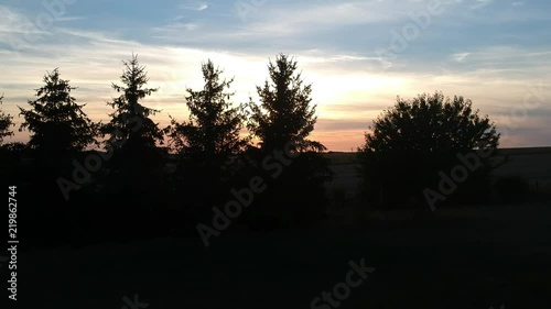 Coucher de soleil derrière les arbres