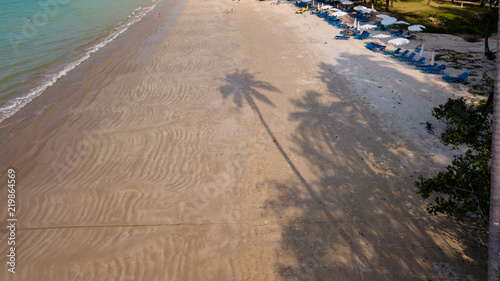 Aerial drone view of a palm tree casting a long shadow onto a large, deserted tropical sandy beach