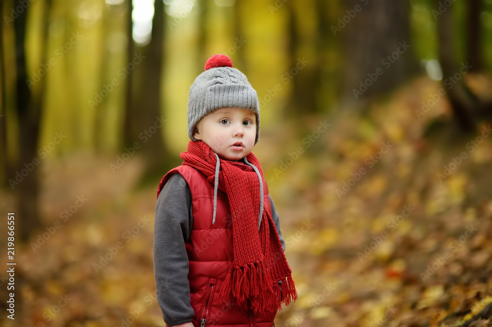 Little boy during stroll in the forest at sunny autumn day Little boy during stroll in the forest at sunny autumn day