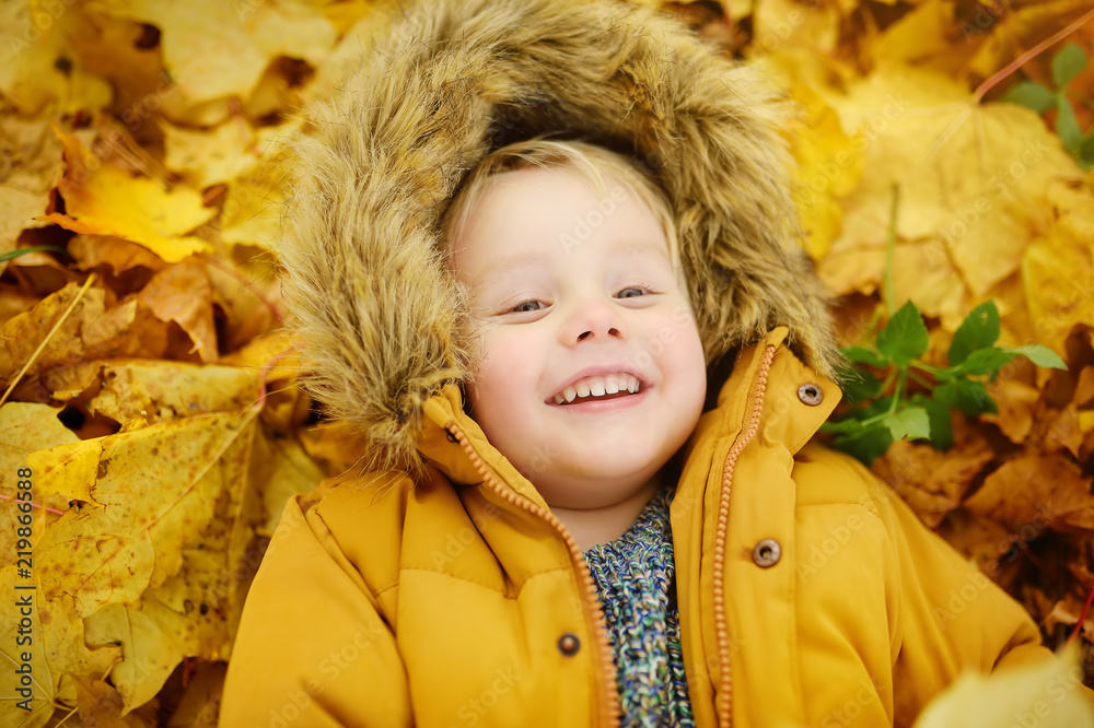 Little boy during stroll in the forest at sunny autumn day Little boy during stroll in the forest at sunny autumn day
