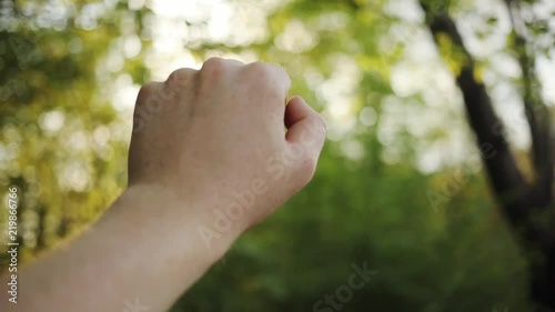 Slow motion close up hands man hold on background of green treeand blue sky play with the sun hides from the sun freedom landscape light nature plant forest summer sunny sunset shine leaf photo